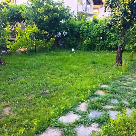 Alpin Guest House Sapareva Banya Exterior photo