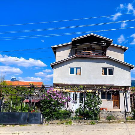 Alpin Guest House Sapareva Banya Exterior photo