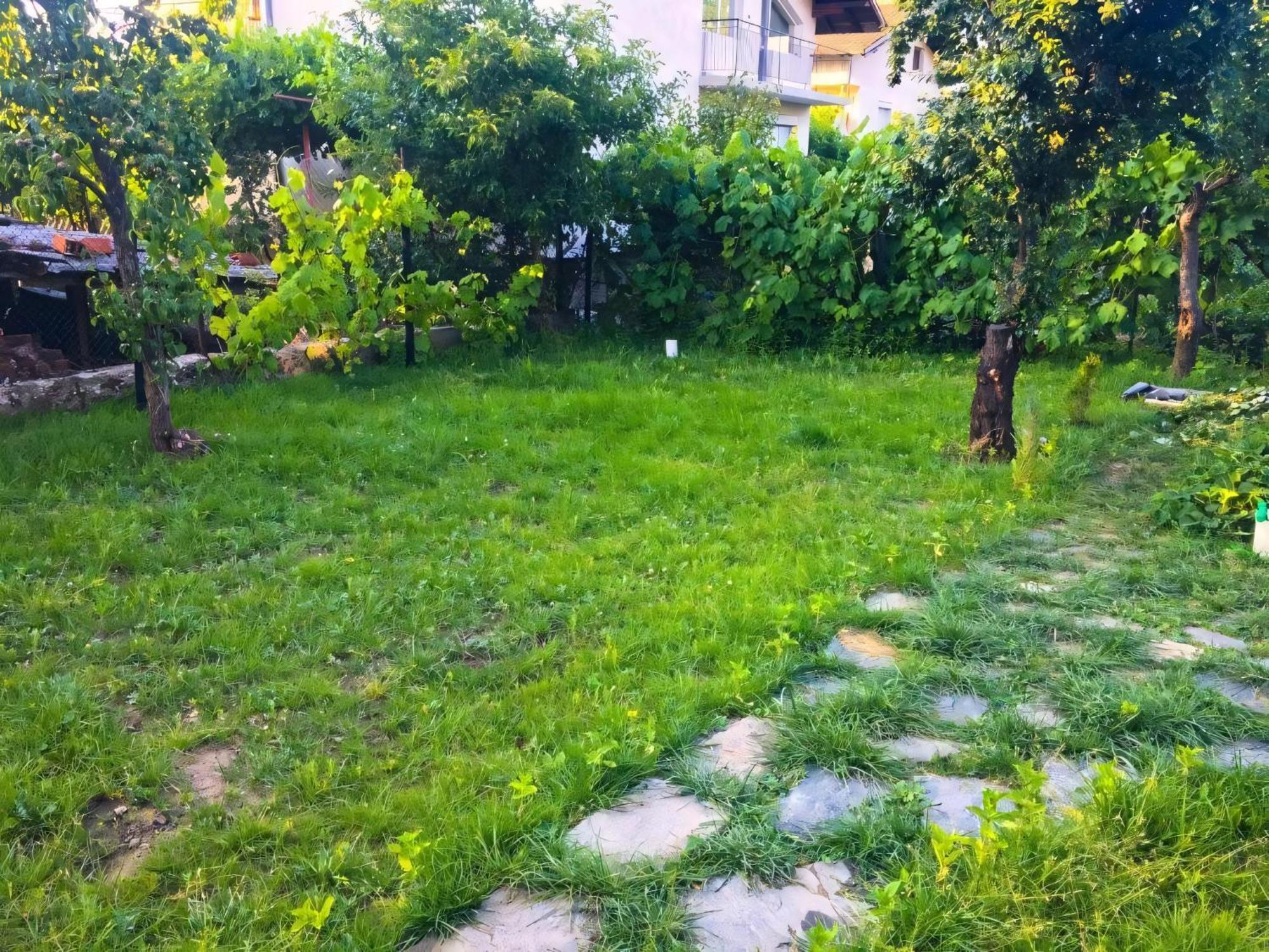 Alpin Guest House Sapareva Banya Exterior photo